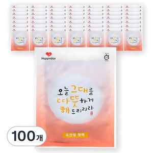 해피데이 포켓형 핫팩 100g, 100개