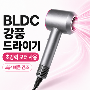 차이슨 드라이기 강력 여행용 미니 드라이기 BLDC 헤어드라이어기 소형
