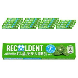 리카르덴트 리프레싱 민트 껌