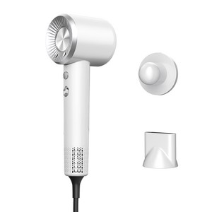 HOOYS 헤어드라이기 BLDC 1600W 음이온 저소음 냉온풍 빠른건조 모발건조기