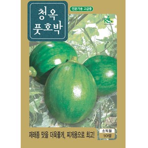 청옥 풋호박 씨앗 10립 풋호박씨 종자 키우기, 1개