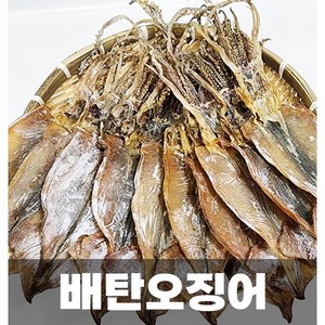 배탄오징어!!~ 선원들이 선상에서 해풍에 직접 말린 건조오징어! 소5미 소10미 소20미, 1박스, 소10미(500g내외)