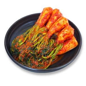 전라도 총각김치 / 100% 우리 농산물 전라도 김치, 2kg, 1개