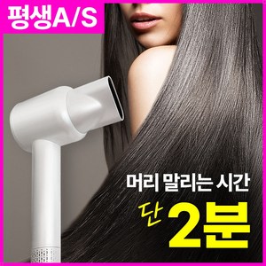 DAMiAir 프리미엄 BLDC 헤어드라이기 고출력 항공모터 음이온 가정용 전문가용