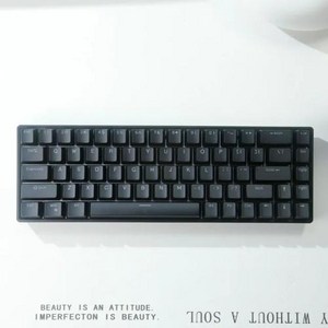 Teamwolf Raven68 유선 마그네틱 스위치 기계식 키보드 8k 퀵 트리거 RGB 백라이트 e-스포츠 PC 게임 커스텀 키보드 선물, 없음, 없음, 1) No light