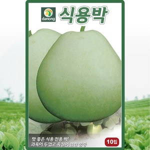 다농 식용박 씨앗 10립 식용박씨 채소 종자, 1개