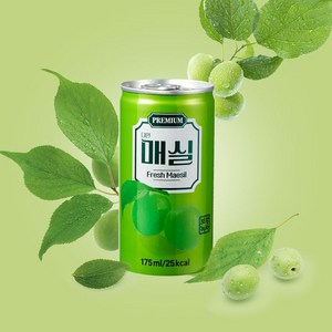 다인 매실캔 무배 60캔 (30캔x2박스), 60개, 175ml