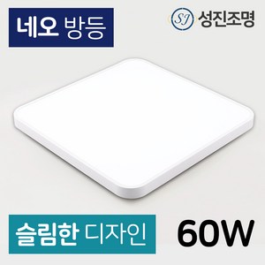 성진조명 LED 방등 60W 삼성칩 플리커프리, 6500K(주광색)