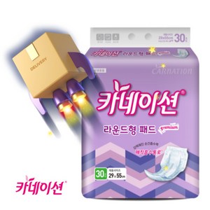 카네이션 성인용기저귀/속기저귀/라운드형 30매*6팩(180매) 1박스, 라운드형, 30개입, 6개