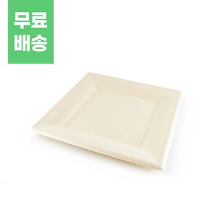 펄프 정사각 접시 500개 세트 특대, 1개