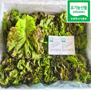 100% 유기농 친환경 꽃상추 600g, 600g (유기농 꽃상추), 1개