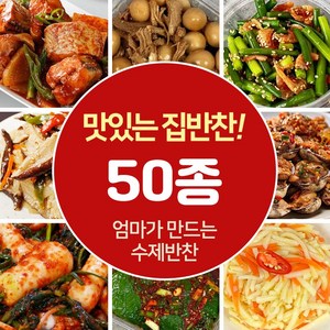 [장바요] 가정식 수제반찬 당일조리 골라담는 시장반찬 밑반찬 김치 나물 볶음 조림 50종, 1개, 23.가지무침 300g