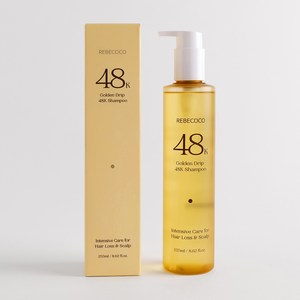 레베코코 골든드립 48K 샴푸 탈모증상완화 각질 건조 두피집중케어, 1개, 255ml