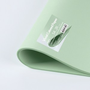 PaperPhant 포장용 비비드한 컬러 색지(Vivid colored paper), 45g 54cm X 39cm (미디엄) 연두 50매, 1개