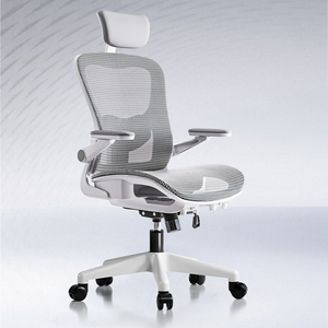 HOMEY NEST 메쉬 사무실 사무용의자 3D팔걸이 틸팅가능 요추 허리보호 체어 HN-OC107