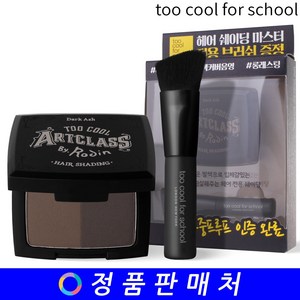 투쿨포스쿨 바이로댕 헤어 쉐이딩 4.8g, 01호 다크애쉬, 1개