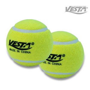 VESTA 테니스 연습용 공, 혼합색상, 10개