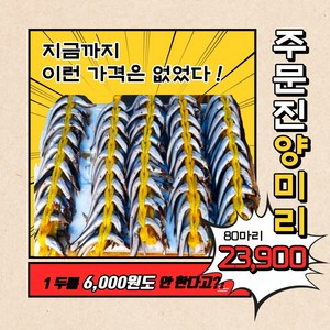 주영수산 속초 주문진 수협 양미리 4두름 80마리 구이 조림용, 500g, 4개