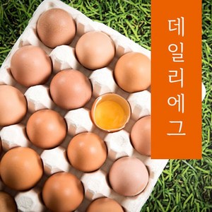 신선한 무항생제 특란, 30구, 1개