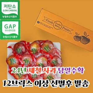 [고당도 당도선별] 껍질째 먹는 경북 홍로 씻은사과 2kg 3kg 5kg 세척사과 소과 중과 대과, 1개, 2kg 중과 (9-11입)