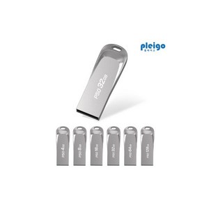 플레이고 USB 메모리 P50, 32GB, 1개