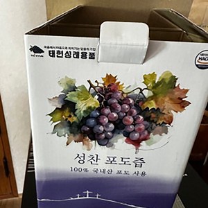 태현 더 진한 성찬 포도즙 500ml 국내산100%완숙포도 NFC착즙, 2개