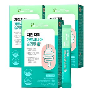 이너랩 차전자피 가르시니아 슬리밍 환, 110g, 3개