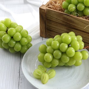 달님식품 샤인머스캣 shinemuscat gape, (특)샤인머스캣 4kg 내외 (4-5수), 1개