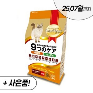 나인케어 피부와피모 캣 1.2kg 2.4kg 6kg 전연령 고양이 건식 사료 스마트하트골드, 나인케어 피부와피모 1.2kg + 우리집상전 사은품
