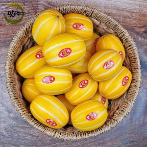 맛가득 프리미엄 성주참외 망고참외 꿀참외 참외 2Kg 5Kg 10Kg 11Kg, 프리미엄 로얄과, 성주참외 최상품 1kg, 1개