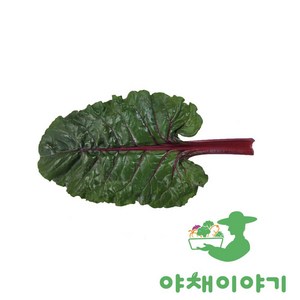야채이야기 싱싱한 적근대 300g, 1개