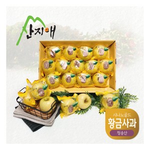 산지애 황금사과 시나노골드 3kg 1box 중과 청송산 당도선별 12brix ↑, 1개, 상세 설명 참조