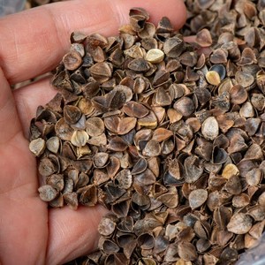 국산 메밀껍질 500g 1kg, 1개
