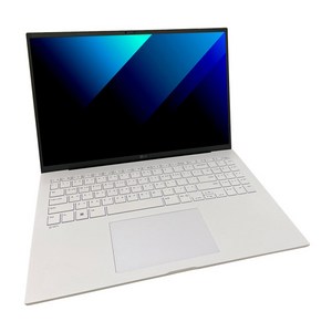 LG전자 2025 그램 Pro AI 16 WQXGA+ 코어Ultra5 애로우레이크 방문설치