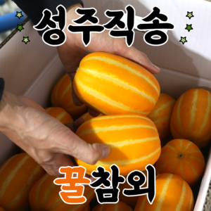 고당도 성주 참외 프리미엄 꿀참외 직거래 2kg 3kg 5kg 10kg, 1개