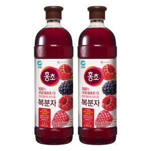 홍초 복분자, 1.5L, 2개