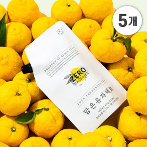 몬더스 담은유자 제로 차, 450g, 1개입, 5개