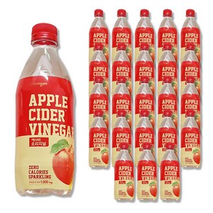 웅진 애사비 오리지널, 500ml, 24개