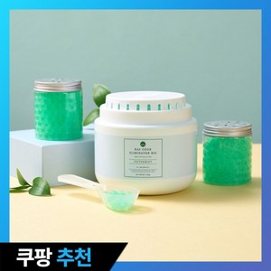 BAS 대용량 탈취제 빅 페퍼민트 향 본품 + 소분 용기 2p + 스쿱 세트, 1.1kg, 1세트