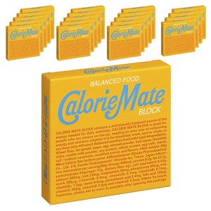 칼로리메이트 밸런스드 푸드 블록 바닐라맛 4개입