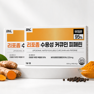 강황 수용성 리포좀 커큐민 피페린 100% 인도산 식약처 인증 haccp 바이오페린 비엔엘, 90정, 1개