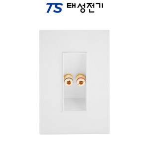 태성전기 틸인스 화이트 단로1구 스위치 쿠팡, 바나나잭 1구, 1개