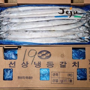 제주 은갈치 선동갈치 10kg 1박스 통갈치 냉동갈치 제주한림수산, 갈치(혼합사이즈10kg한박스), 1개