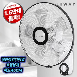 리웨이 데일리 벽걸이 선풍기 가정용 줄당김형