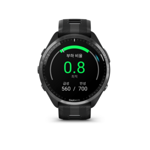 가민 포러너 965 러닝 스마트워치, 블랙, 46.5mm, GPS