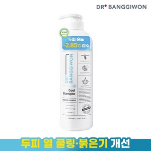 닥터방기원 쿨 탈모 샴푸, 1L, 1개
