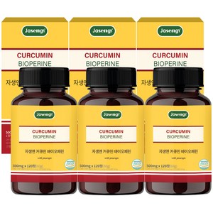 자생 커큐민 앤 바이오페린, 120정, 3개