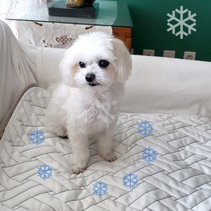 (듀라론) 강아지 쿨매트 반려견 대형 소형 쿨매트, [패드]트위니