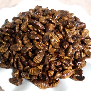 번데기 1kg 냉동번데기 길거리 간식의 대표 365일 안심포장 쪽빛누리, 2개