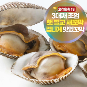 [겁나게맛있꼬막] 삼시세끼연구소 쫄깃함 폭발하는 햇 벌교 꼬막 새꼬막, 1kg(대) 내외, 1개